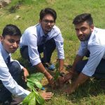 Plantation Program