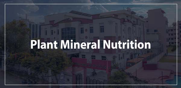 Plant Mineral Nutrition