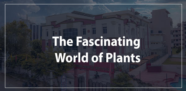 The Fascinating World of Plants