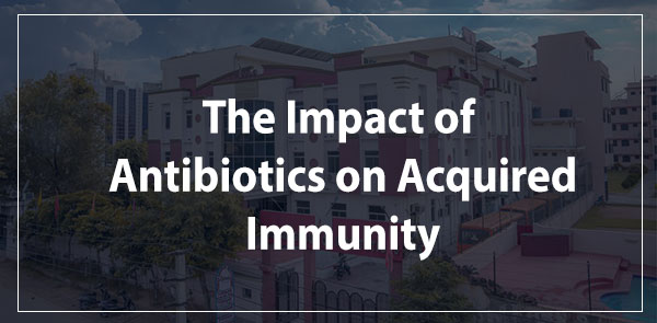 The Impact of Antibiotics on Acquired Immunity