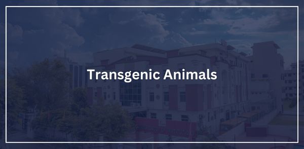 Transgenic Animals