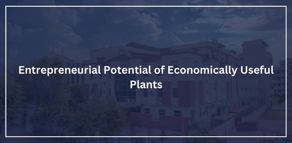 Entrepreneurial Potential of Economically Useful Plants