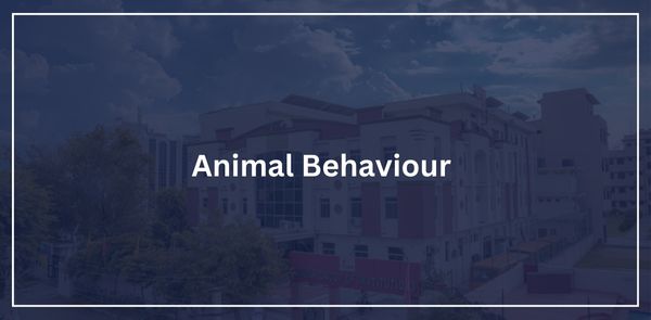 Animal Behaviour