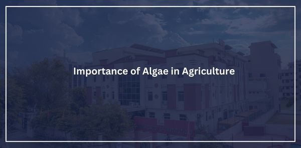 Importance of Algae in Agriculture