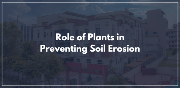 Role of Plants in Preventing Soil Erosion